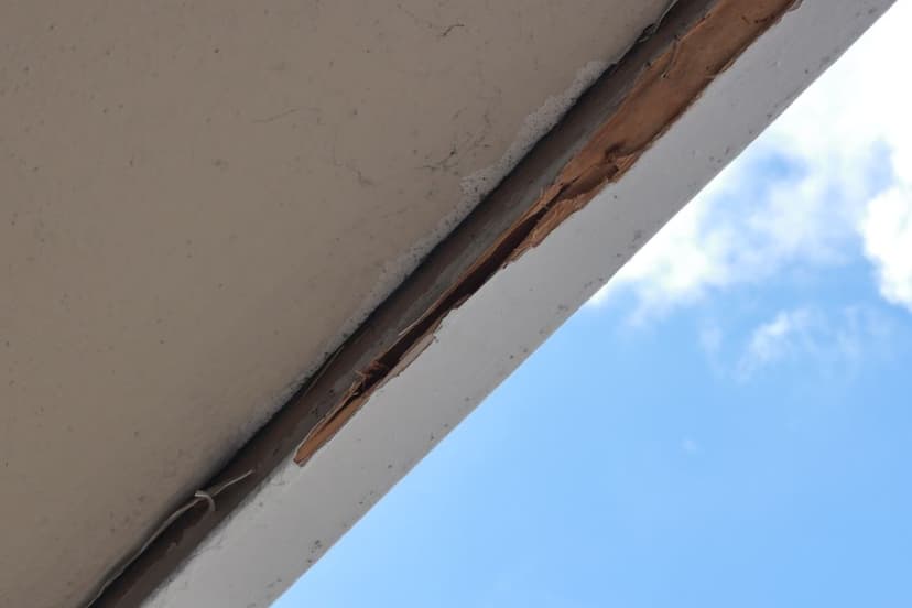 Sustainable and Eco-Friendly Solutions's image